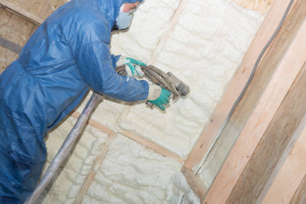 Best Insulation for Metal Buildings  in Lawton, OK